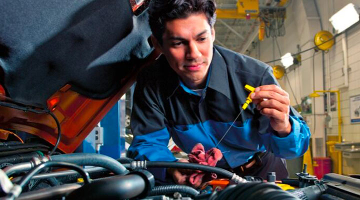 Oil & Filter Change